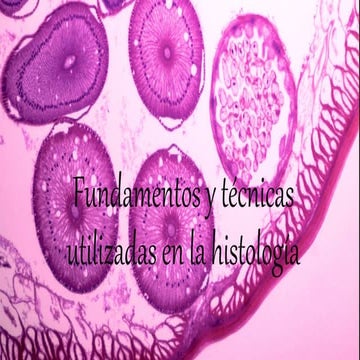 Fundamentos y técnicas utilizadas en la histología