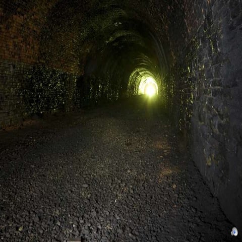 The Funder's Pulse: Funder Ally Interviews