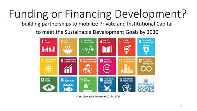 Financing SDGs  building partnerships