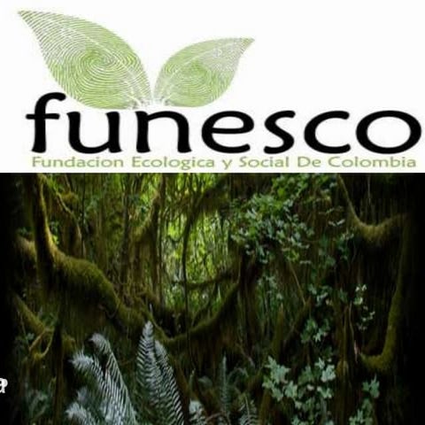 Fudesco presentacion