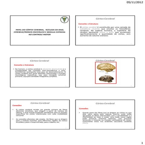 Funções do cortex e nucleos da base