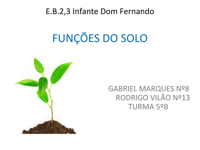 Funções do solo