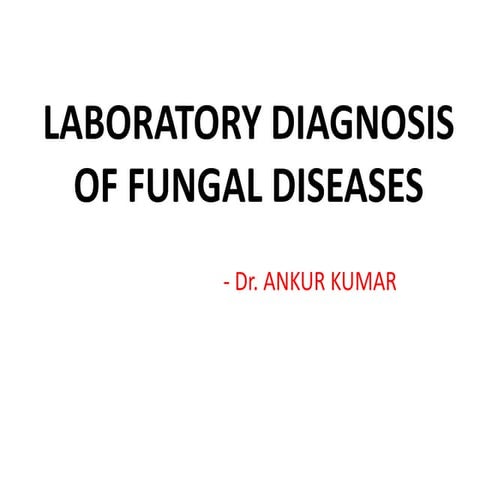 Fungal diagnosis