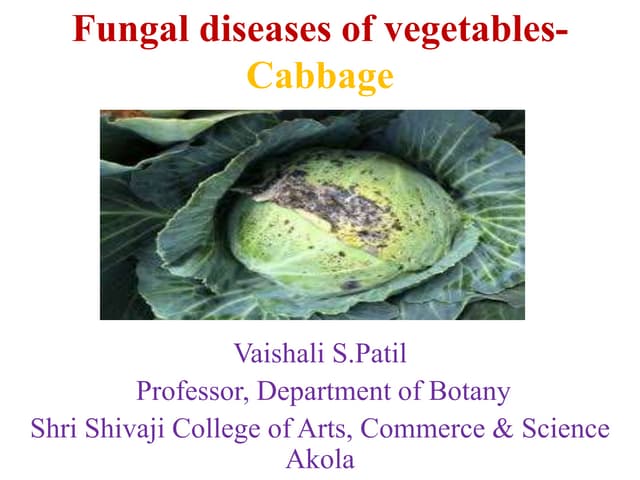 Fungal diseases of vegetables-Cabbage