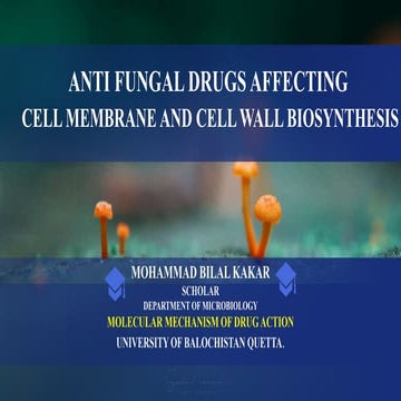 ANTI FUNGAL DRUGS AFFECTING CELL MEMBRANE AND CELL WALL.