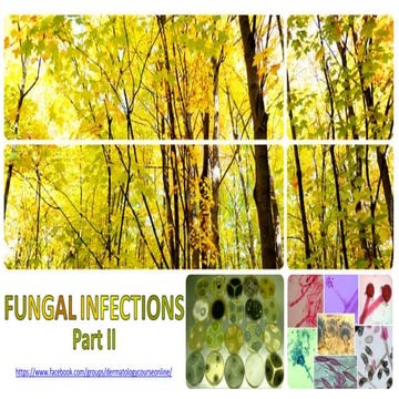 Fungal infections part II