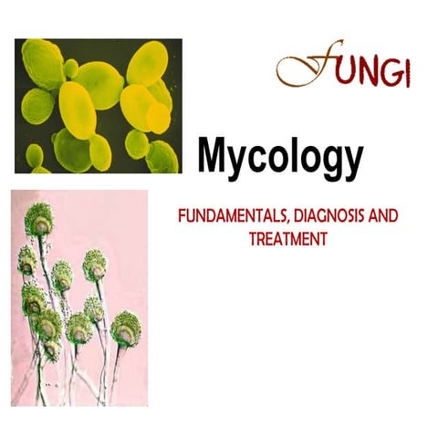 Fungal presentation