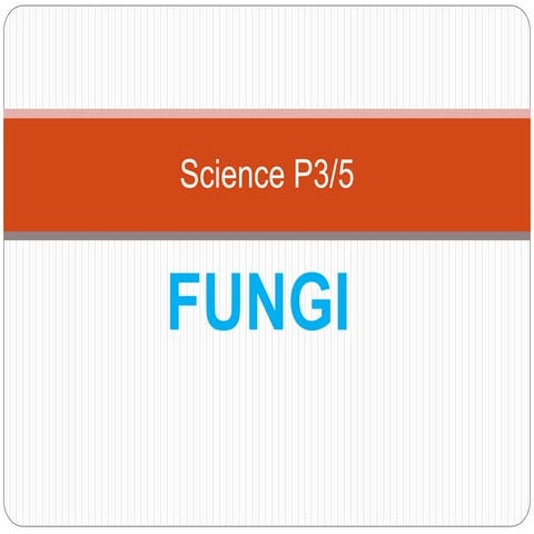 Fungi and Microorganism