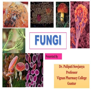 Fungi