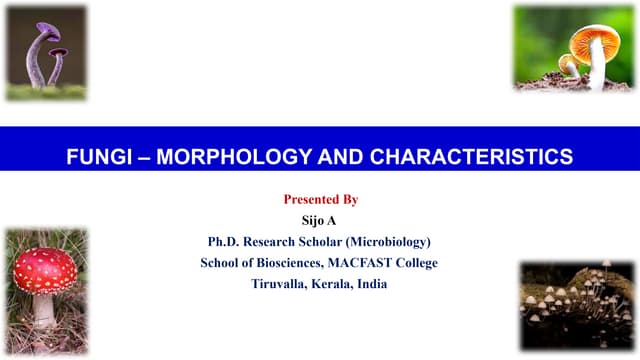 Microbiology of Fungi - Morphology & Characteristics