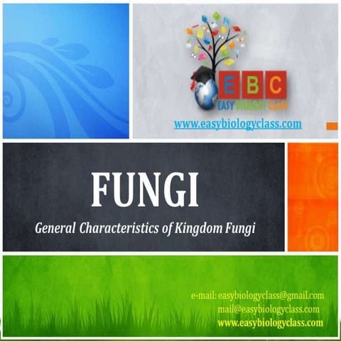 Fungi general-characteristics-ppt | PPTX | Biological Sciences | Science