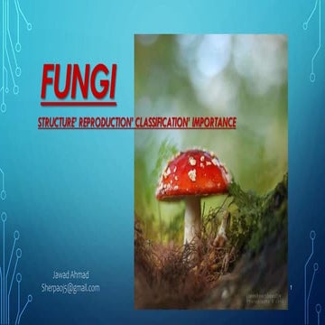 Fungal classification