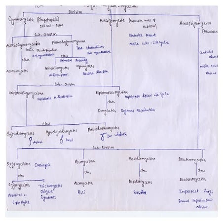 Fungi and plant pathology | PDF