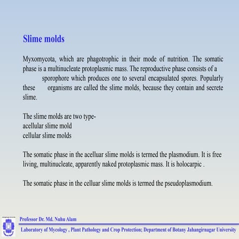 Lecture 24 slime molds | PPT