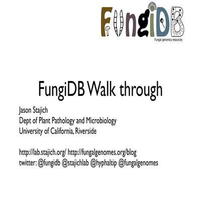 Evolution of gene family size change in fungi | PDF