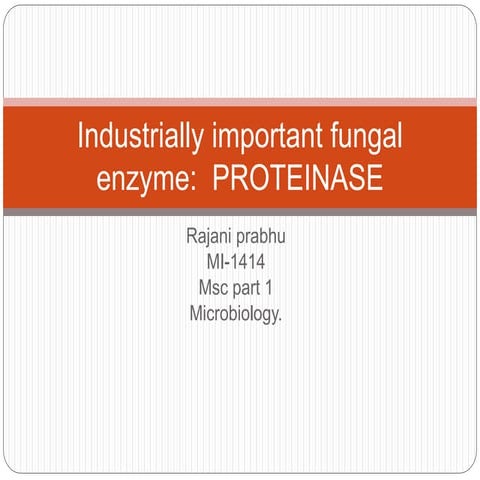 industrial applications of fungal proteases