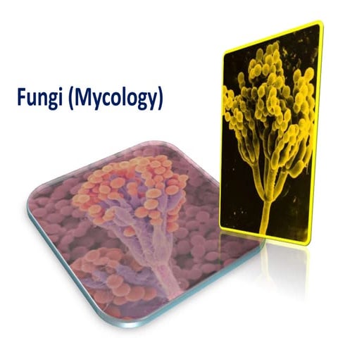 6 - Mycology and Fungal Pathogens | PPTX
