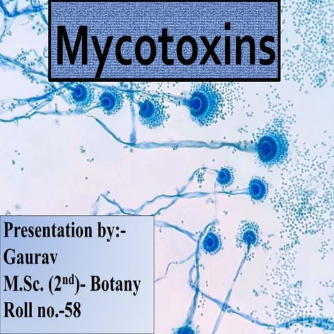 fungi mycotoxins, their classification and mode of action.pptx