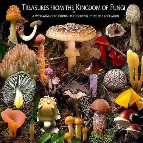 Fungi notes