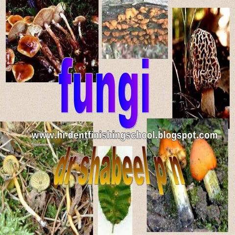 Fungi