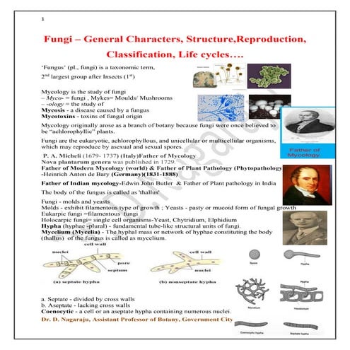 Fungi structure  Reproduction Classification, Life cycles  Bot coaching mater...
