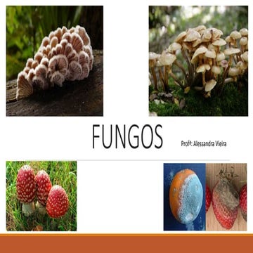 Fungos | PPTX