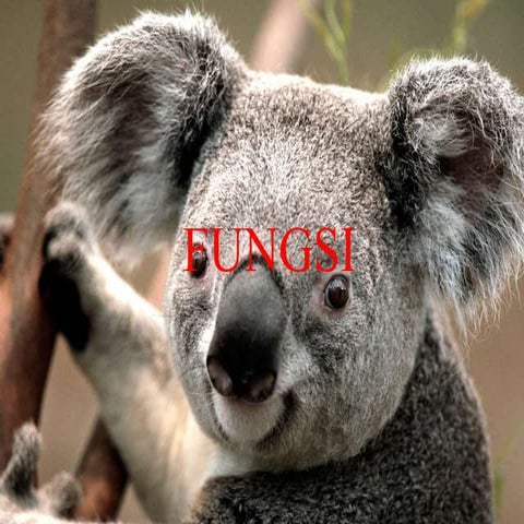 Fungsi