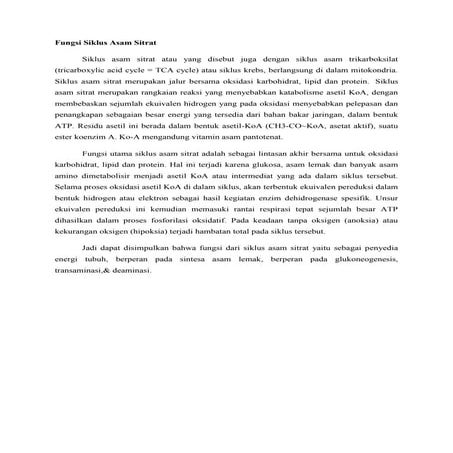 Fungsi siklus asam sitrat word