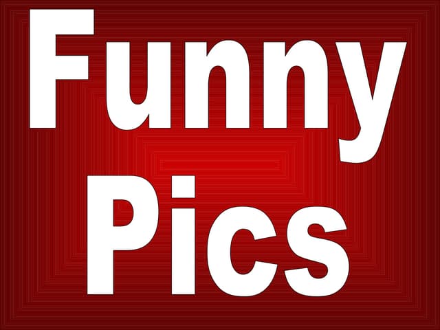 Funny Pics