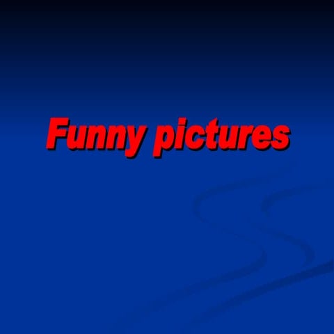 Funny Pictures