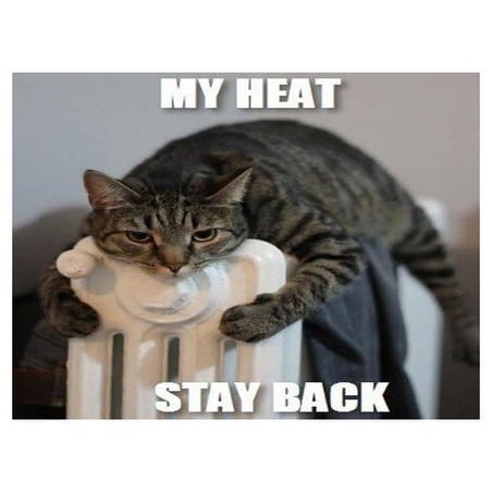 Funny cat hvac meme