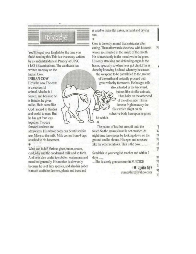 Funny essays bad grammar 06 picture