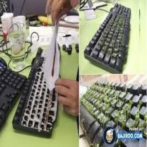 Funny pranks pictures