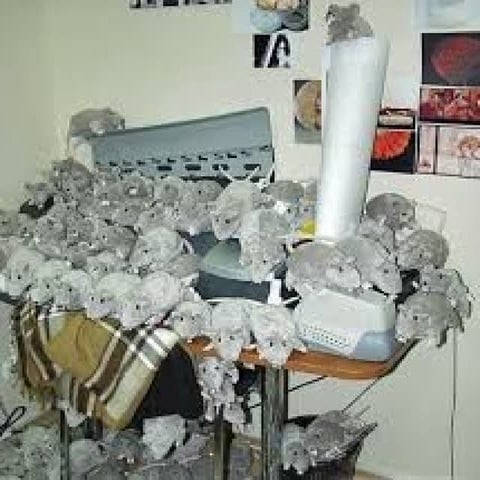 Funny pranks to do at home easy