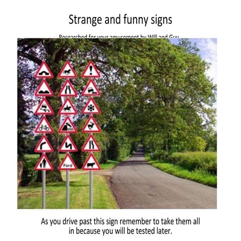 Funny Signs