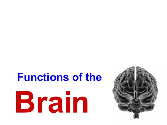 Functions of the Brain