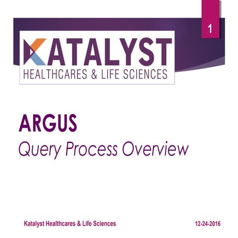ARGUS Query Process Overview_Katalyst HLS