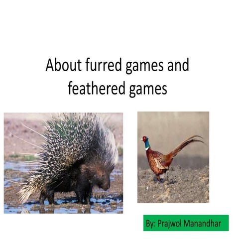 Furred games and feathered games