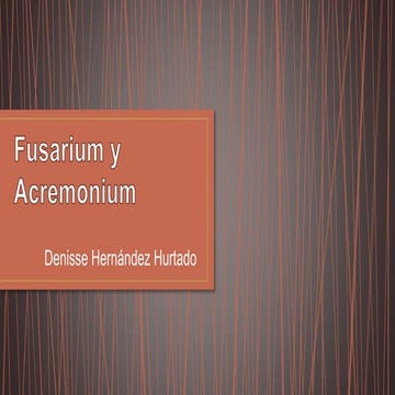 Fusarium y acremonium