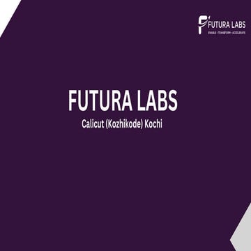 FUTURA LABS Best software training institute