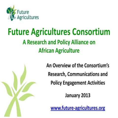 Future Agricultures Consortium overview (Jan 13)