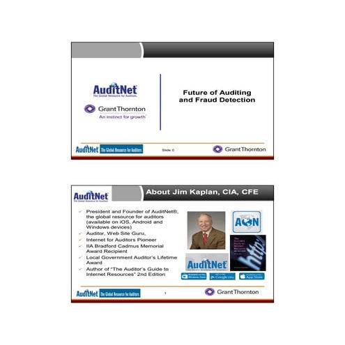 Future audit analytics