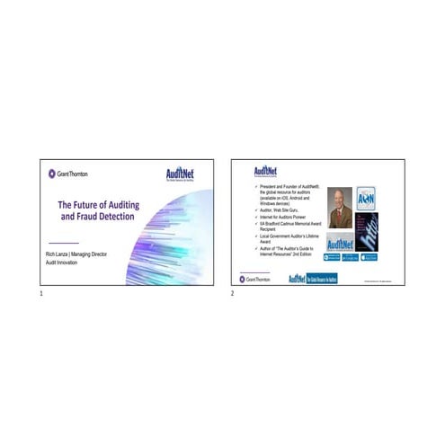 The Future of Auditing and Fraud Detection 
