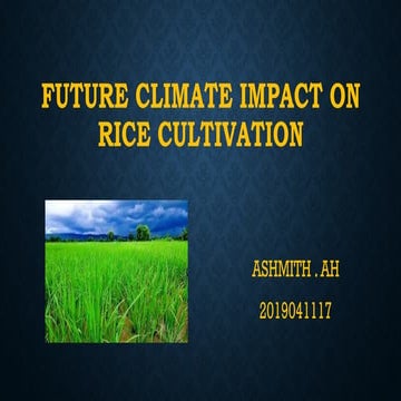Future climate impact on rice cultivation.pptx
