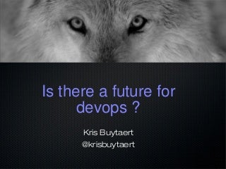 Is there a future for devops ?
