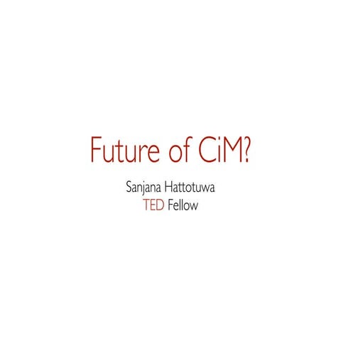 Future of Crisis Information Management