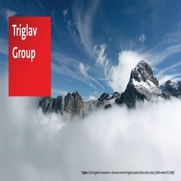Best PMO in Europe 2019 - Triglav Group | FuturePMO 2019