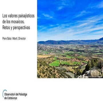 Los valores paisajísticos de los mosaicos. Retos y perspectivas