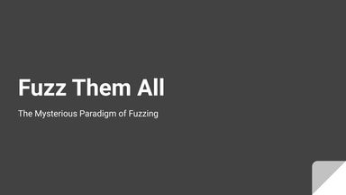 The Mysterious Paradigm of Fuzzing by Rakesh Seal