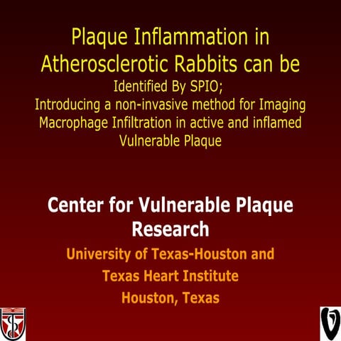 Plaque inflammation in atherosclerotic rabbits